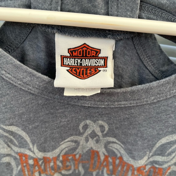 Harley-Davidson Blue-Gray Long Sleeve Tee with Graphic Design - Picture 2 of 3